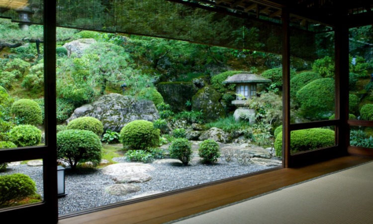 Japanese culture is renowned and revered for their appreciation of nature and the natural world. Japanese landscapers and gardeners often use strikingly simplistic designs to showcase the magic, wonder and beauty of the natural world that surrounds us. Japanese garden design is an art and science that has been honed and perfected for centuries yet looks fresh, modern and new. You can use Japanese garden design ideas in your landscaping plan to bring a bit of the far east to your home. Creating a Japanese garden will allow you to express your creativity, get in touch with nature and will help you create a space where you can relax, decompress, unwind and enjoy the pleasures of nature every morning with a cup of coffee and every evening with a cup of tea or glass of wine. Image Credit: Dreamstime.com Japanese garden design is deceptive in its simplicity. Entering a Japanese garden is a striking visual because of its sparsity and simplicity. On the polar opposite end of English gardens where many varieties of flowers, plants and colors vie for attention, Japanese gardens are an exercise of simplicity and control. Japanese garden design relies on shapes, flow of movement through the garden and strives to showcase the beauty of just a few key elements. Weeping maple trees surrounded by cleanly raked gravel and nestled between walking paths perfect for meditation walks are routinely incorporated in Japanese garden plans. A Japanese garden often incorporates a sand garden as well. Sand gardens are planned spaces where clean, white sand is raked into labyrinth like patterns that not only create an eye pleasing design, but also offer the gardener an opportunity to meditate on the movement of sand, the motion of raking and the impermanent nature of the design they create. Taking a few moments to rake the sand and connect with nature can help gardeners release stress, calm anxieties and step away from the demands and pressures of every day life. Another hallmark of Japanese garden design is the incorporation of stone or clay statues. Lanterns, temples, Buddhas and other symbolic statuary often grace Japanese gardens and create an eye pleasing design element and pay homage to Japanese culture. From a simple stone bench that provides a place to sit and enjoy the view to an elaborately carved temple, choosing a garden statue can help you create an interesting focal point in your garden as well as add texture and architectural design elements to your outdoor space. Image Credit: Landscapingnetwork.com Bonsai trees carefully shaped and cultivated are another traditional design element in Japanese gardens. Cultivating bonsai trees is an ancient Japanese art that requires patience, design and pruning skills. Bonsai trees are miniature representations of full size trees that have been cut, shaped and pruned to represent the beauty and majesty of enormous trees on a small scale that can be appreciated indoors or out. There are lots of resources online and in print that can help you plan your Japanese garden and spark creative ideas you can incorporate into your garden to make it your own. Once you have the inspiration you need, make a visit to your local garden supply center and get expert advice and guidance on which materials, plants and trees will best meet your geographical and design plan needs. Once you have your Japanese garden planned and plotted, maintaining it can become a form of mediation and relaxation in your daily life. Bring a piece of Japanese culture and beauty to your home and life with Japanese garden design and you will understand why so many people find comfort and peace when they enter these sacred spaces.