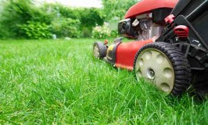 Lawn Mower Tires and How to Replace Them