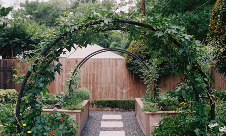 The Appeal of the Garden Arch