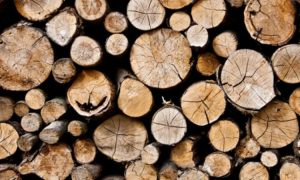 Wooden Picnic Tables - 5 Types of Materials Used To Build them