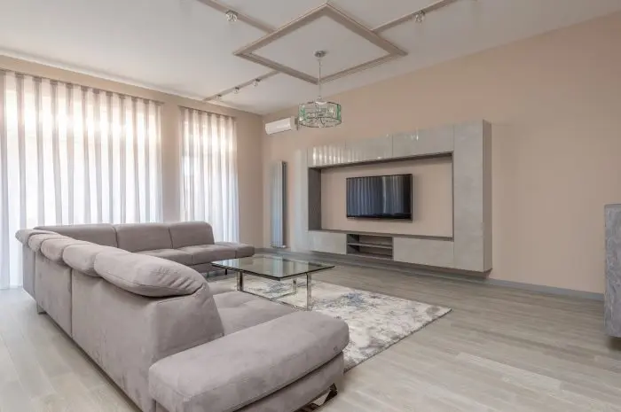 Hard and Soft Elements Living Room