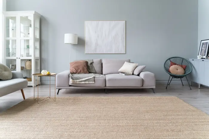 Gray paint living room color