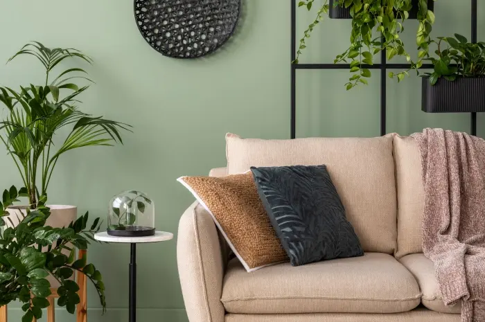 Light Green Living Rooms