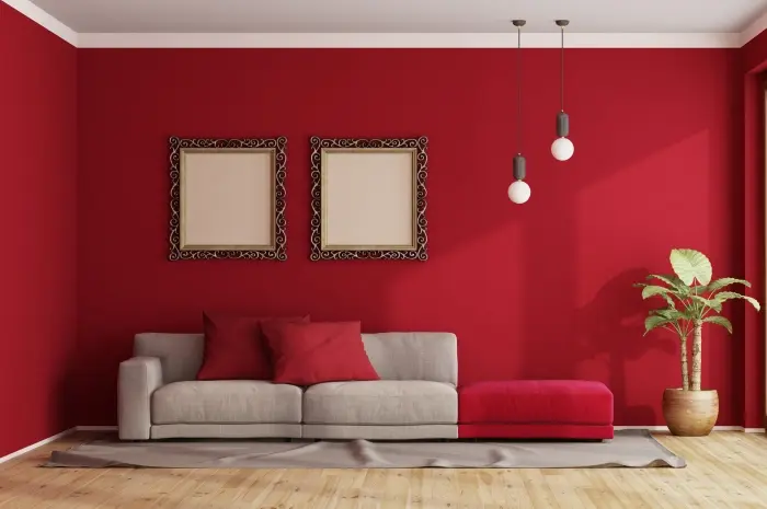 Rustic Red Living Rooms