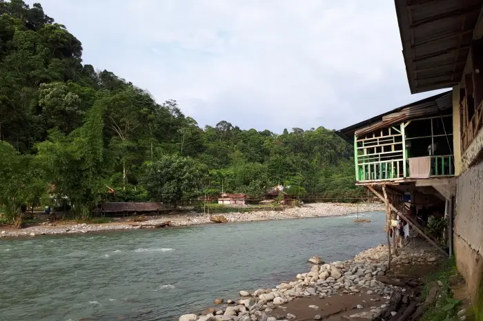 Bukit Lawang