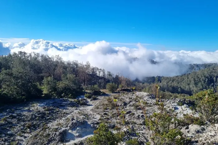 Mount Rengganis Argopuro Peak