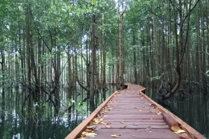 Tourist Attractions in Kutai Kartanegara that Offer Spectacular Views