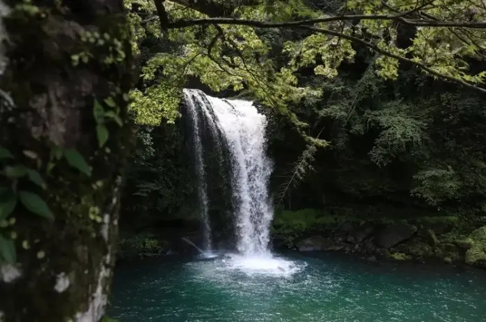 Tourist Destinations in Banyumas that are a Must Visit for a Fun Vacation