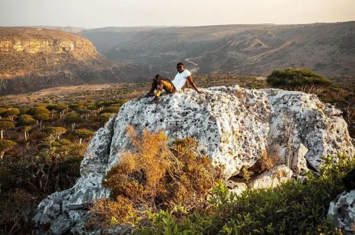 The Friendly Inhabitants of Socotra Island